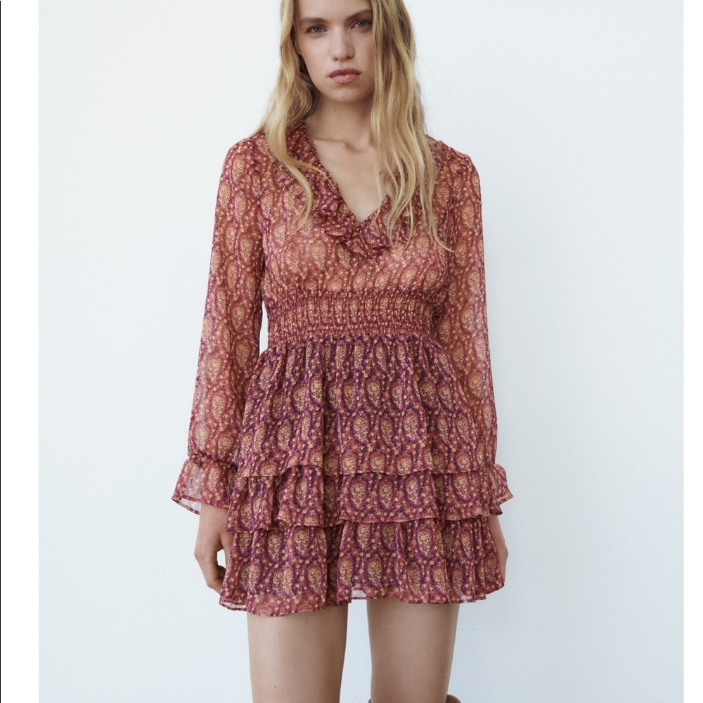 Zara Ruffled Print long sleeve Dress NWT L